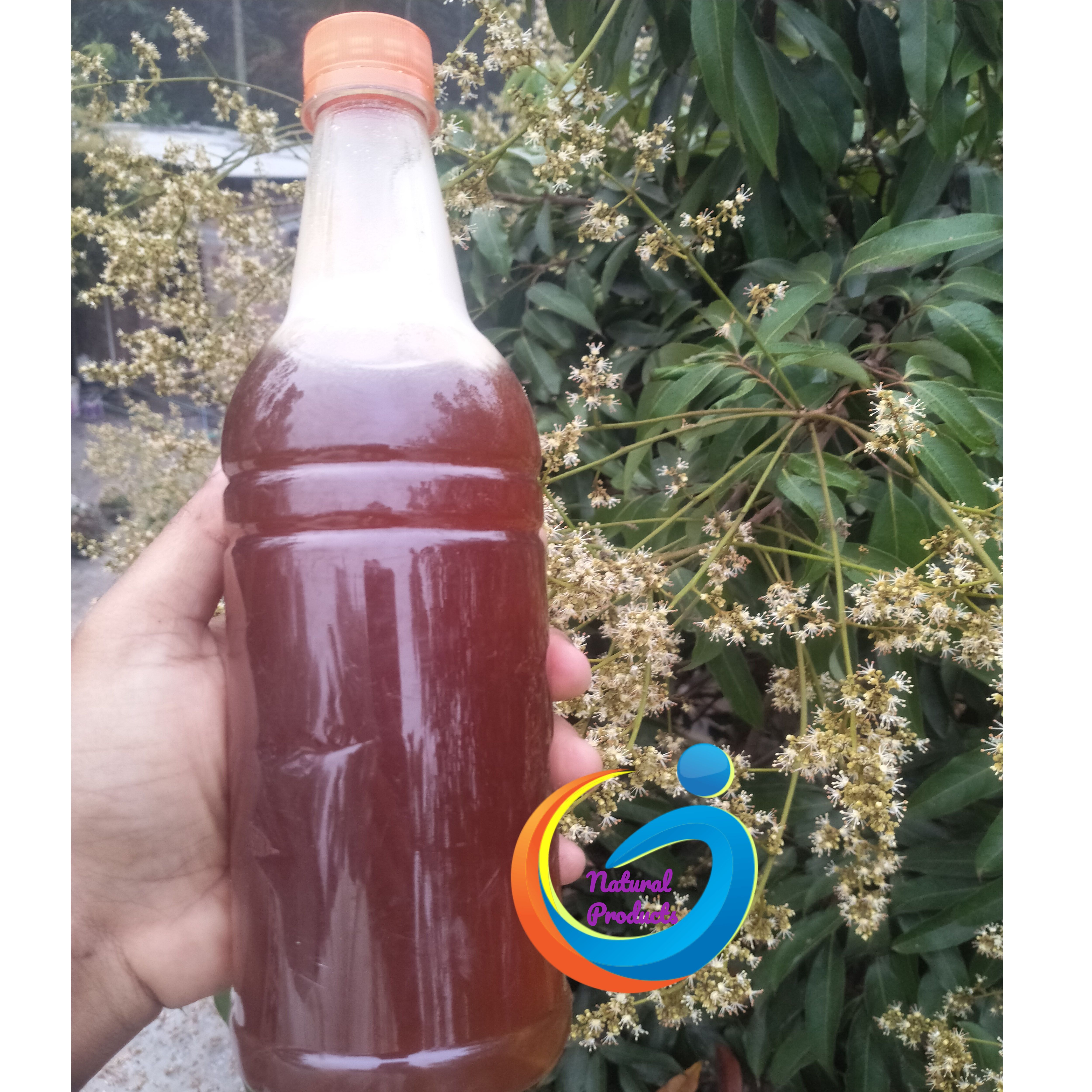 লিচু ফুলের মধু